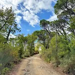 Villa Chiantivillas Poggio A Vento